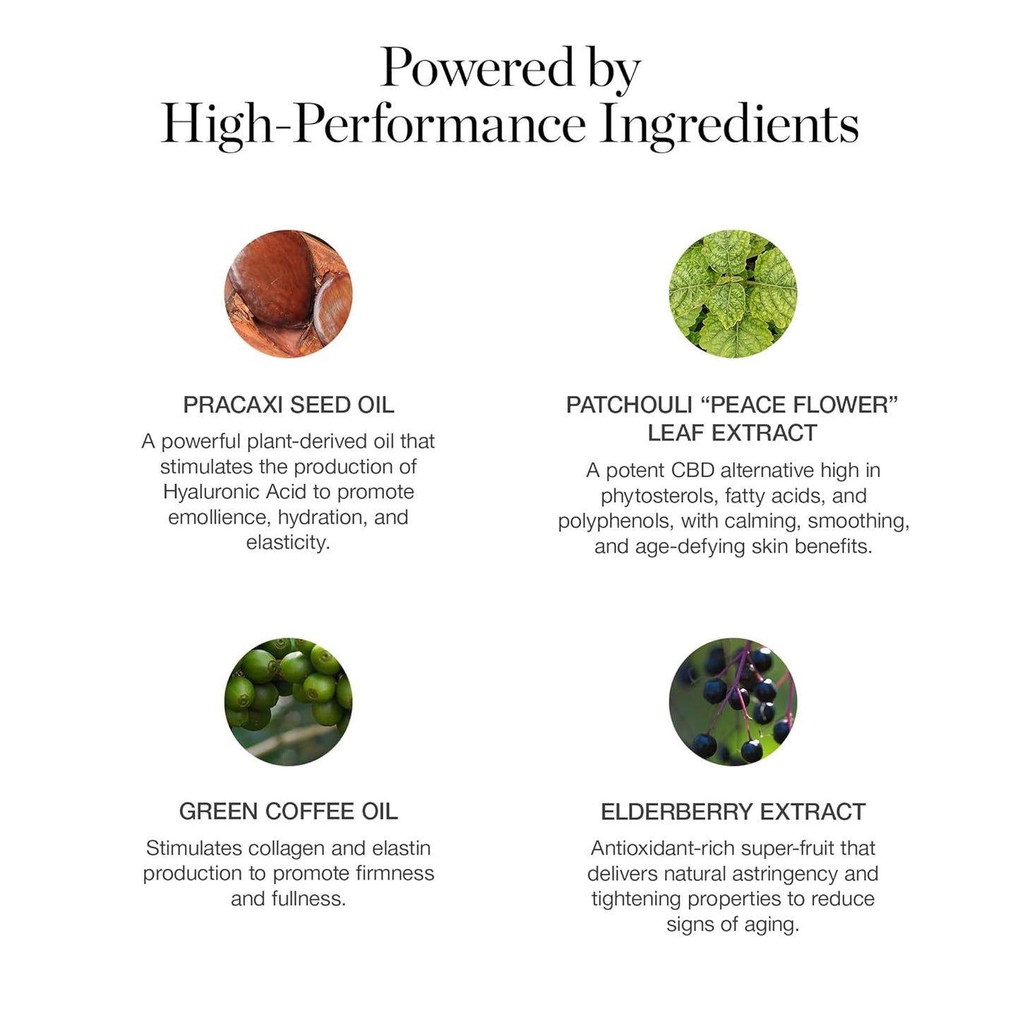 Ogee Sculpted Complexion Foundation Stick (Larch 2.25C - Light Medium, Beige Undertones) Full Coverage Foundation Makeup - Instantly Balance & Even Complexion - 70% Organic Ingredients