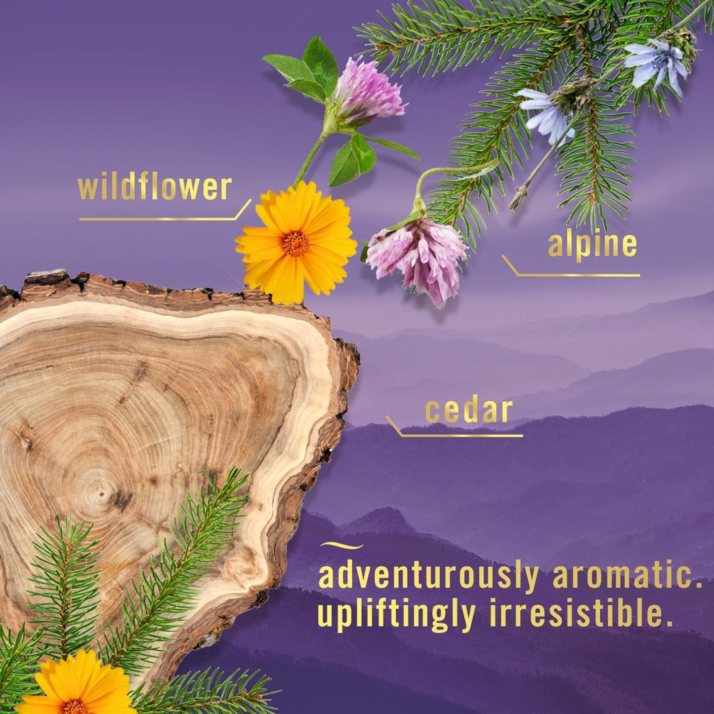 Touch Fabric Spray, Ocean & Mountain, 16.9 oz, Pack of 2